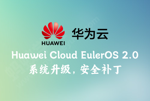 如何对华为云 Huawei Cloud EulerOS 2.0 Standard 64 bit 进行系统更新，华为云安全更新