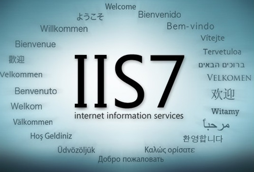 如何在本地 IIS服务器搭建 asp网站，本地asp网站服务器搭建方法。
